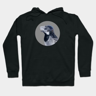 White wagtail Hoodie